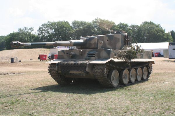 tiger 1.jpg